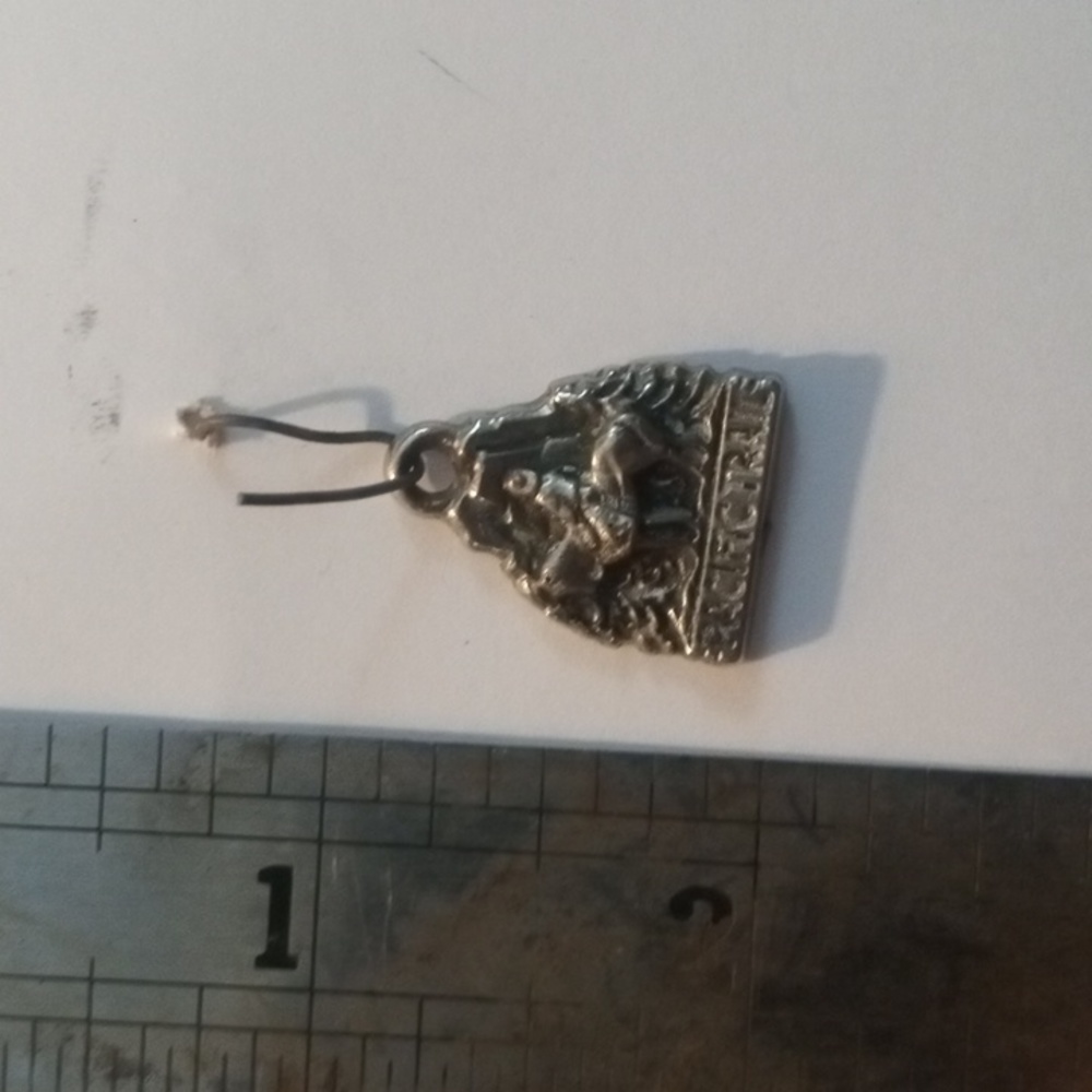 Pacific trail pendant